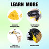 Eagle Flying Interactive Bird Cat Toy